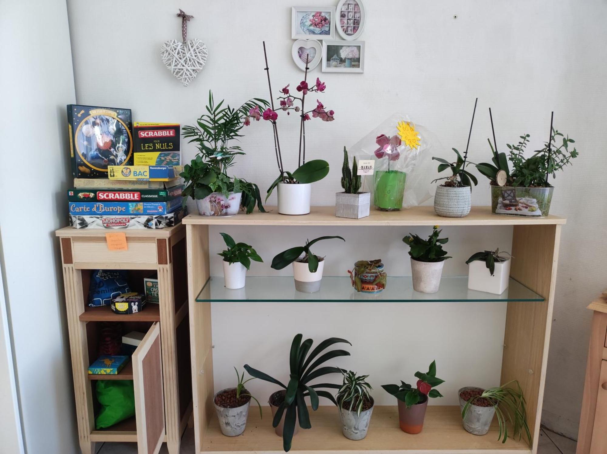 Chambre Chez L'Habitant "Cactus" Une, Deux Ou Trois Personnes Derval Экстерьер фото